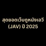 สุดยอดเว็บดูหนังเอวี